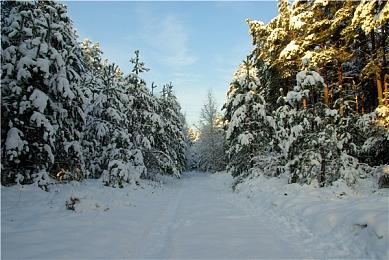 PUBG公会系统怎么玩？绝地求生公会怎么创建加入？